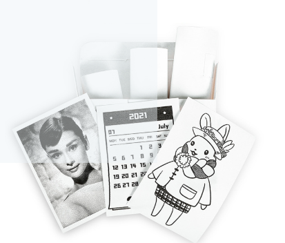 Luvora Premium Mini Printer inkl. eine Rolle
