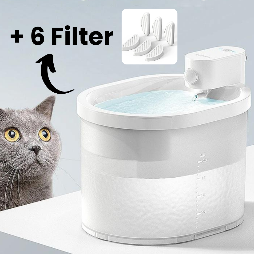 Luvora Water Stream - Katzen  Wasserspender